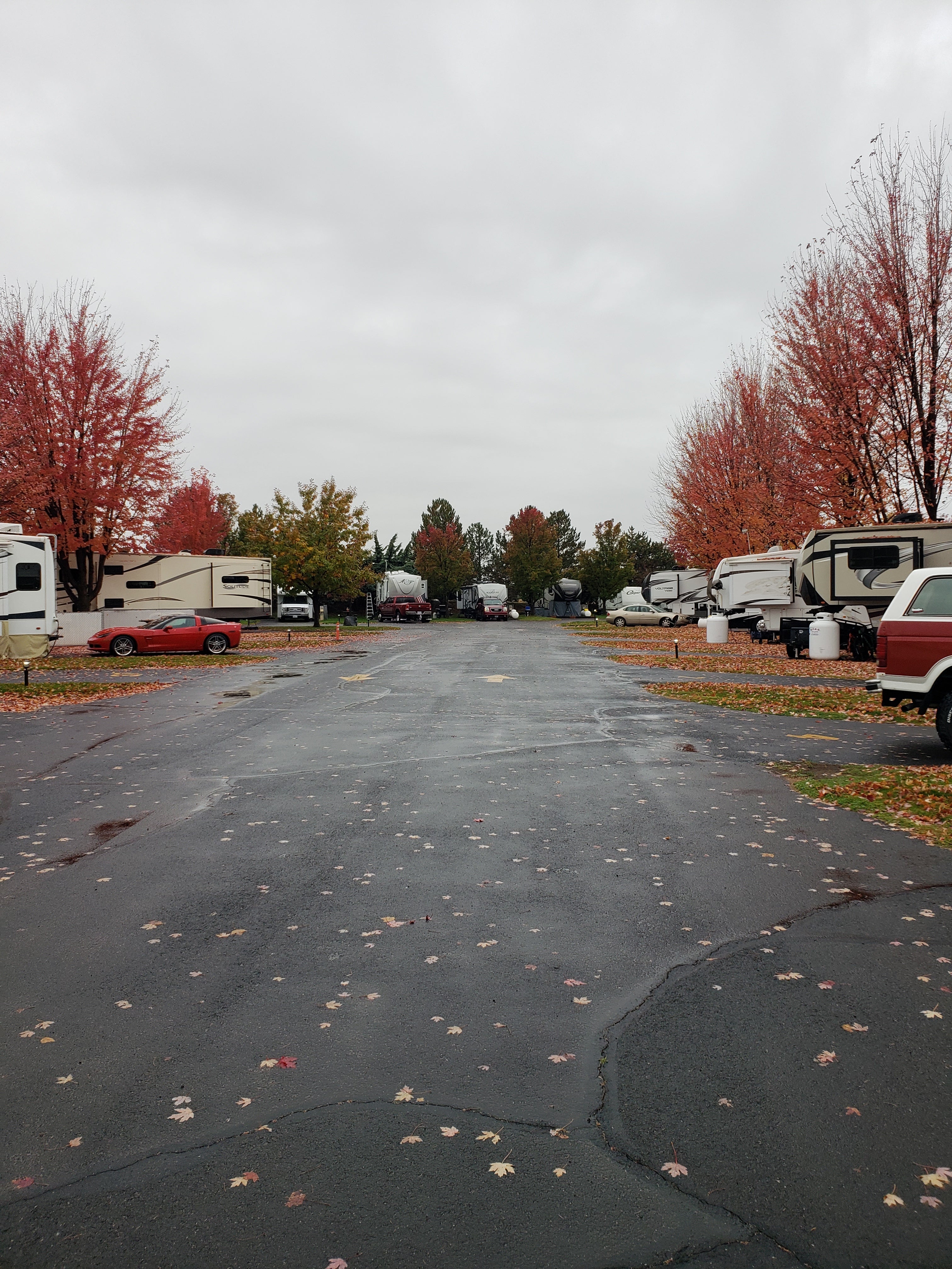 Camper submitted image from Pilot RV Park - 1