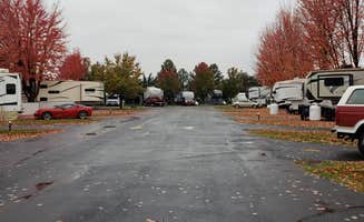 Tom C.'s photo of rv camping at Pilot RV Park near Adams, OR