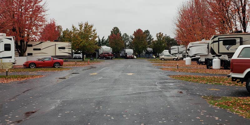 Camper submitted image from Pilot RV Park