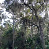 Review photo of Blythe Island Regional Park by Stuart K., October 22, 2021