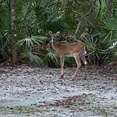 Review photo of Blythe Island Regional Park by Stuart K., October 22, 2021