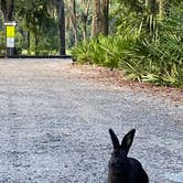 Review photo of Blythe Island Regional Park by Stuart K., October 22, 2021