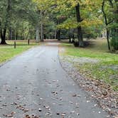 Review photo of Babcock State Park Campground by Elizabeth G., October 22, 2021