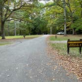 Review photo of Babcock State Park Campground by Elizabeth G., October 22, 2021