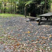 Review photo of Babcock State Park Campground by Elizabeth G., October 22, 2021