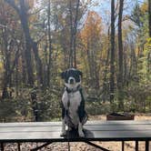 Review photo of Cliffwood Campground — Mirror Lake State Park by Lynn R., October 22, 2021