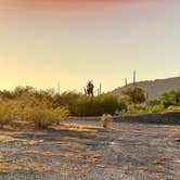 Review photo of BLM Ironwood Forest National Monument - Pipeline Rd Dispersed camping by Gary W., October 22, 2021