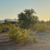 Review photo of BLM Ironwood Forest National Monument - Pipeline Rd Dispersed camping by Gary W., October 22, 2021