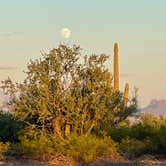 Review photo of BLM Ironwood Forest National Monument - Pipeline Rd Dispersed camping by Gary W., October 22, 2021