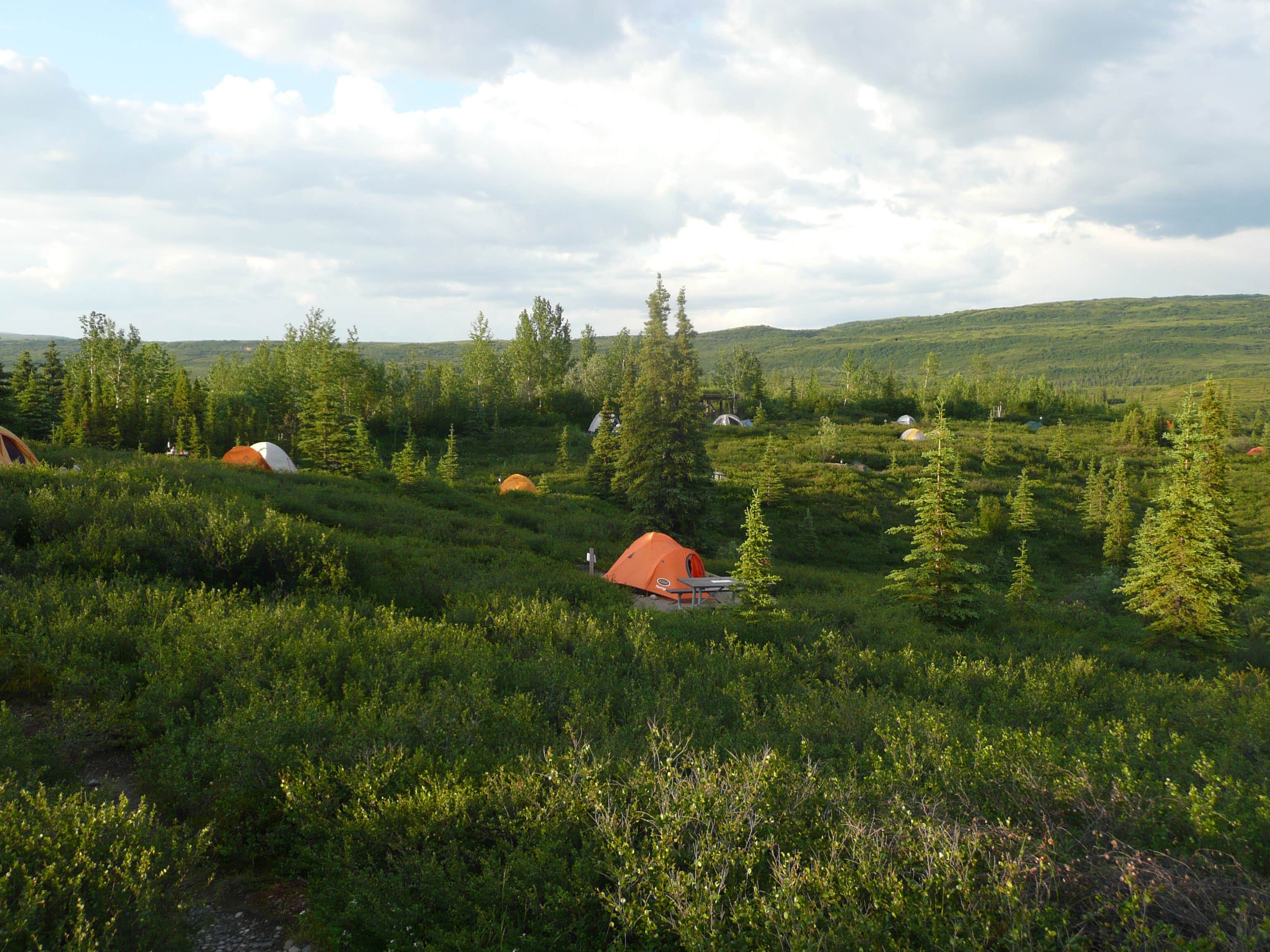 Camper-submitted photo at Wonder Lake Campground — Denali National Park in Alaska