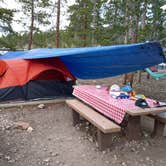 Review photo of Glacier Basin Campground — Rocky Mountain National Park by Ryan M., July 5, 2018