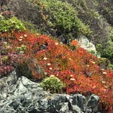 Review photo of Plaskett Creek Campground - Los Padres National Forest by Don E., July 5, 2018