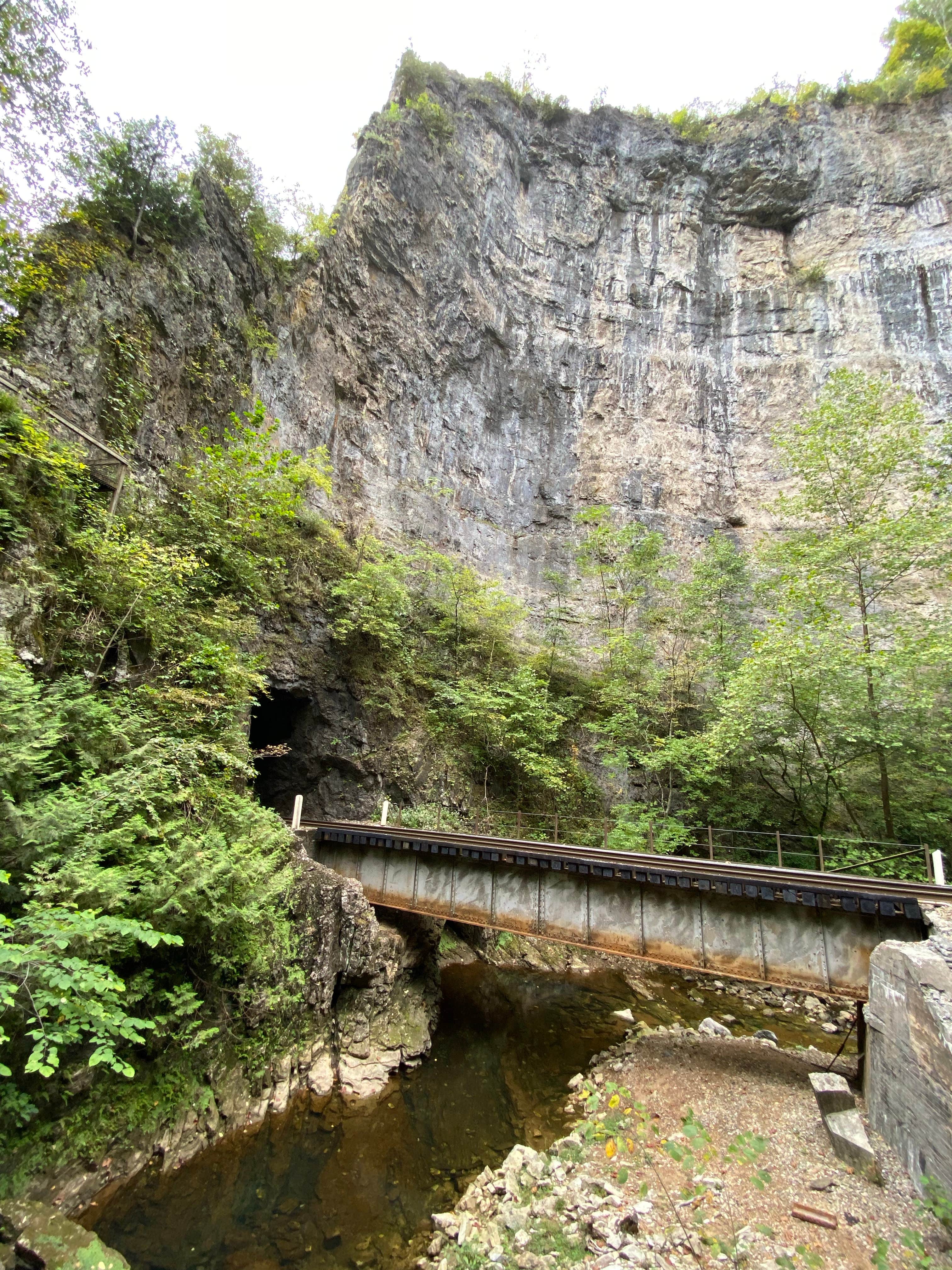 Camper submitted image from Cove View Campground — Natural Tunnel State Park - 3