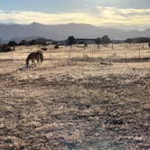 Review photo of Mountain View RV Resort by Dean and Dodie B., October 23, 2021