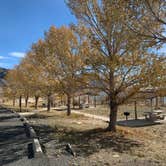 Review photo of Lake Shore Campground — Buffalo Bill State Park by William S., October 23, 2021