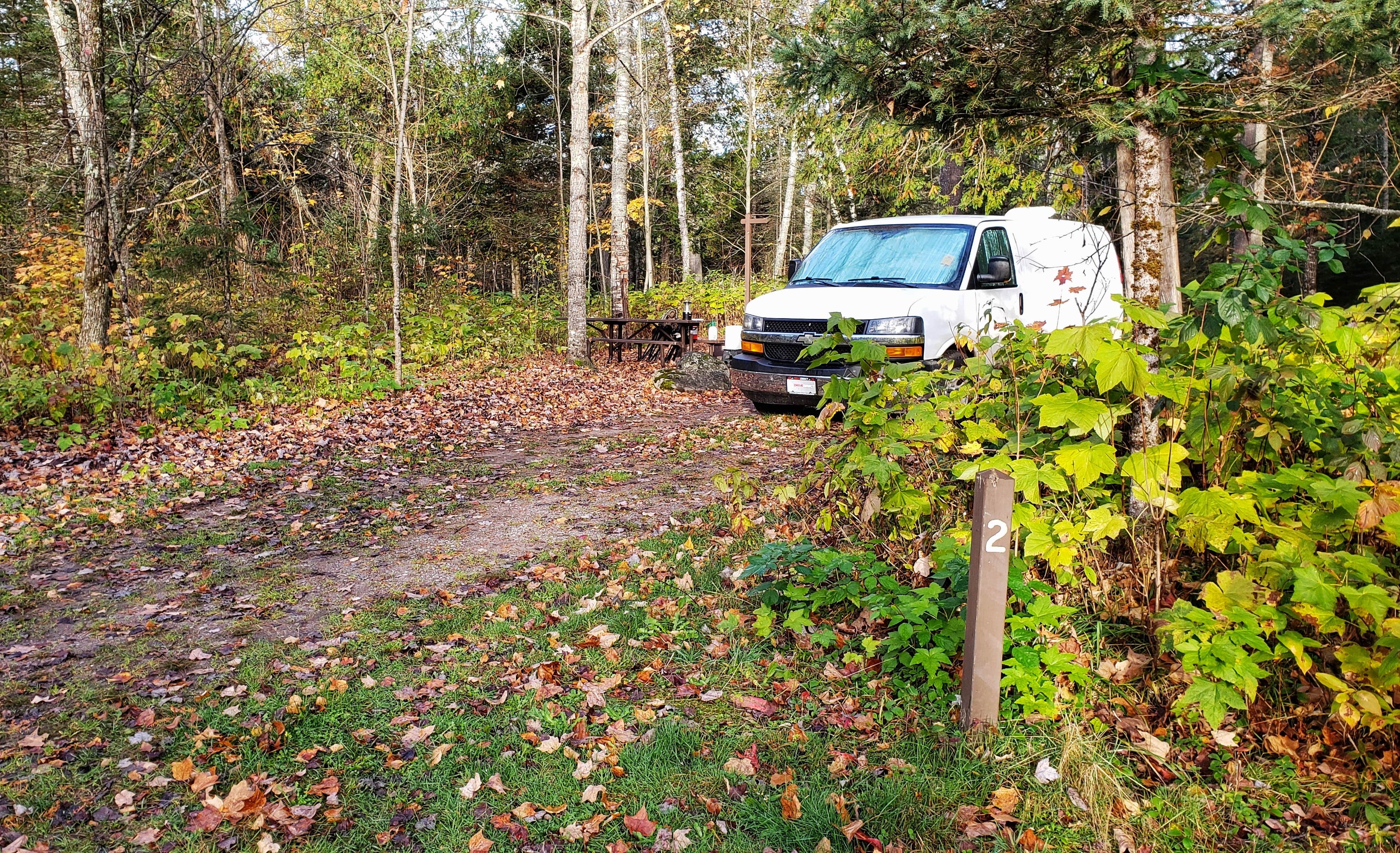 Camper submitted image from Sturgeon River Campground - 2