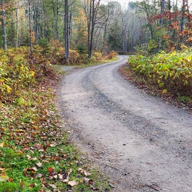 dirt/gravel road throughout campground