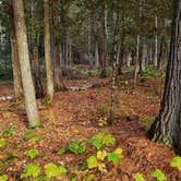 Review photo of Sturgeon River Campground by Fred S., October 23, 2021