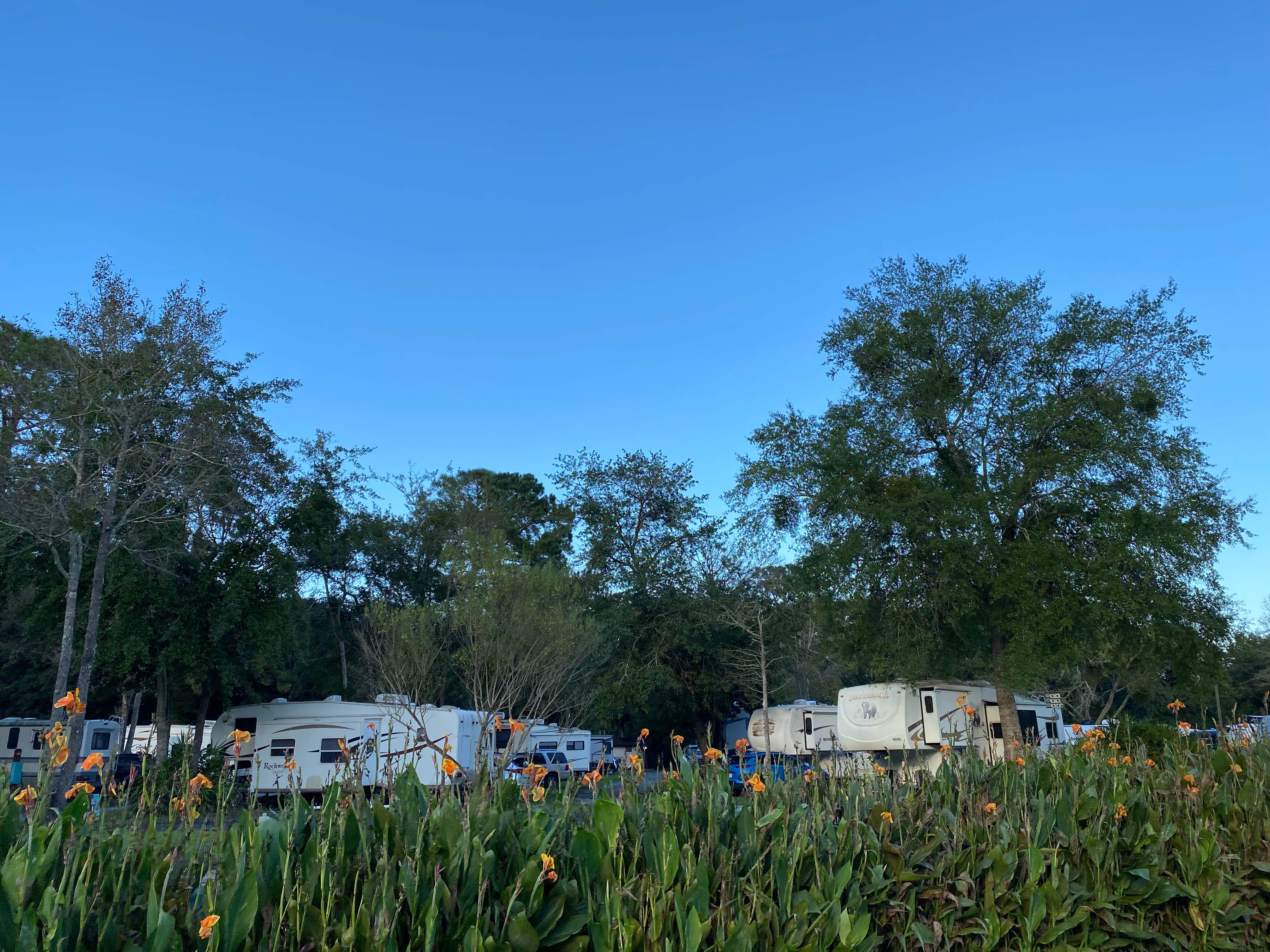 Stuart K.'s photo of rv camping at Southern Retreat RV Park near Sapelo Island, GA