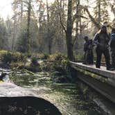 Review photo of Hoh Rain Forest - Olympic National Park by Kuo G., July 4, 2018
