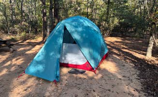 Matt C.'s photo at Poinsett State Park Campground near Blythewood, SC