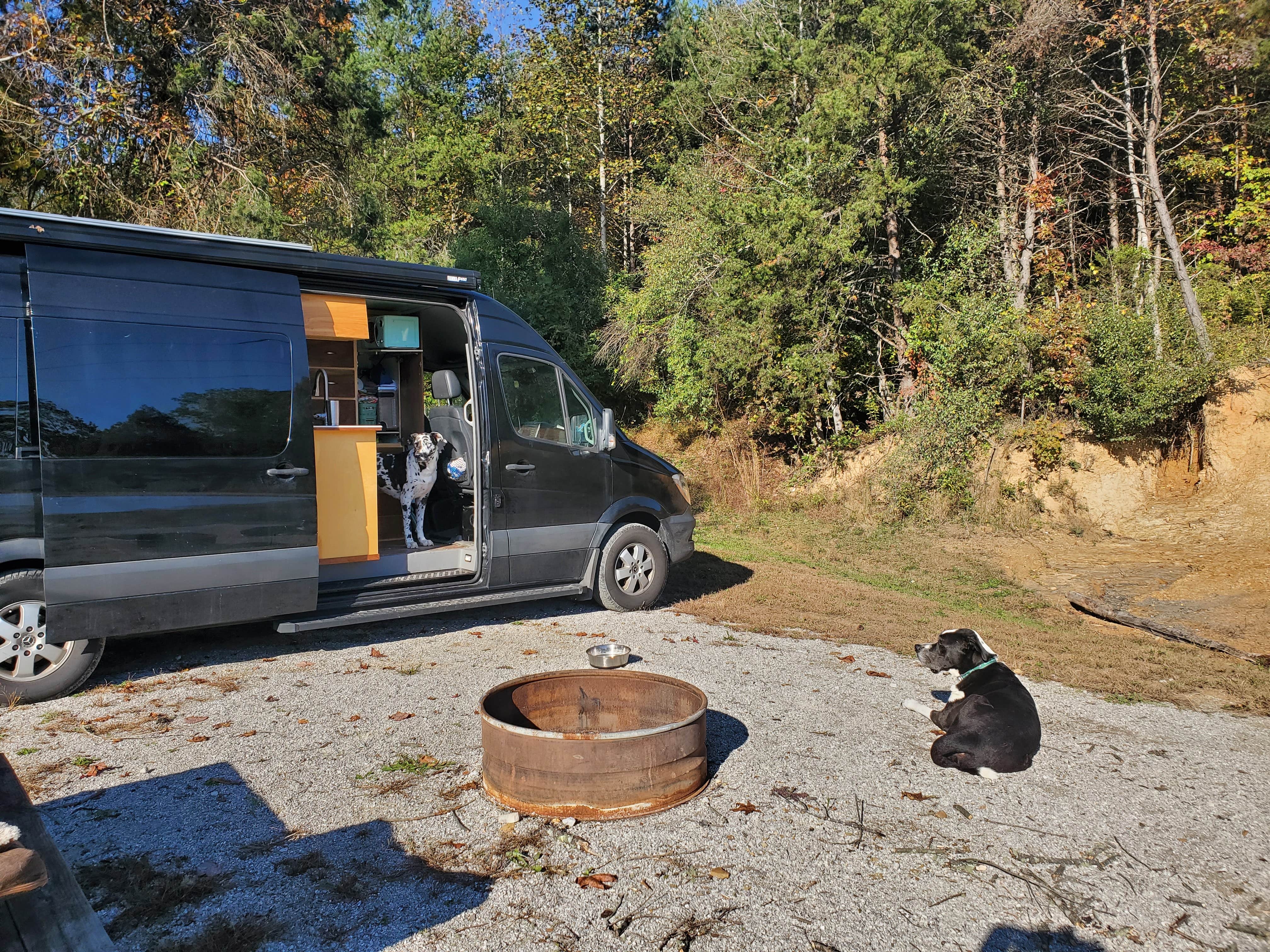 Camping near Mountain Lake Marina and Campground: Eagle Rock Resort & Campground, La Follette, Tennessee