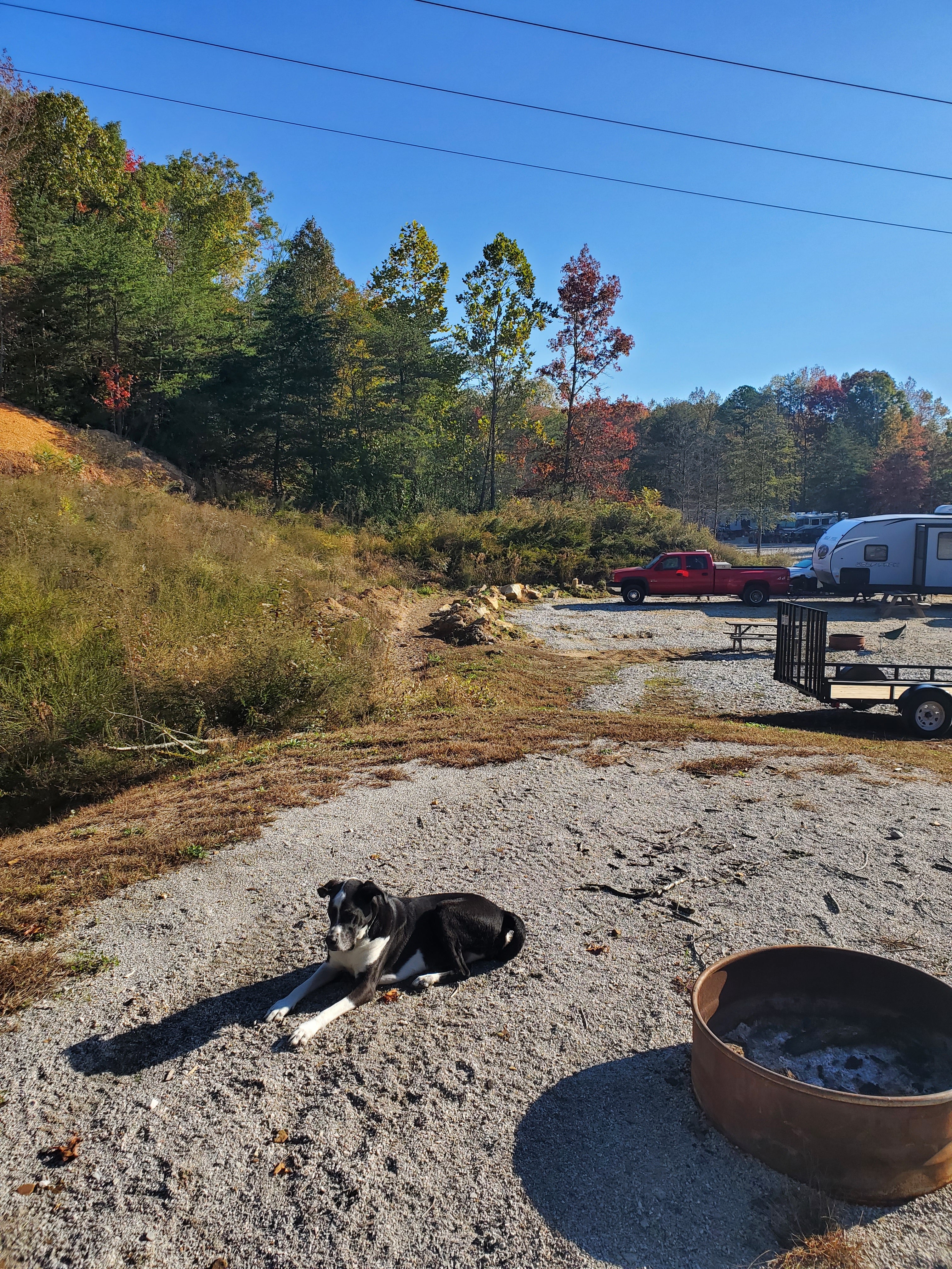 Camper submitted image from Eagle Rock Resort & Campground - 4