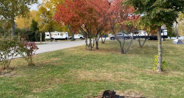 Area One Campground