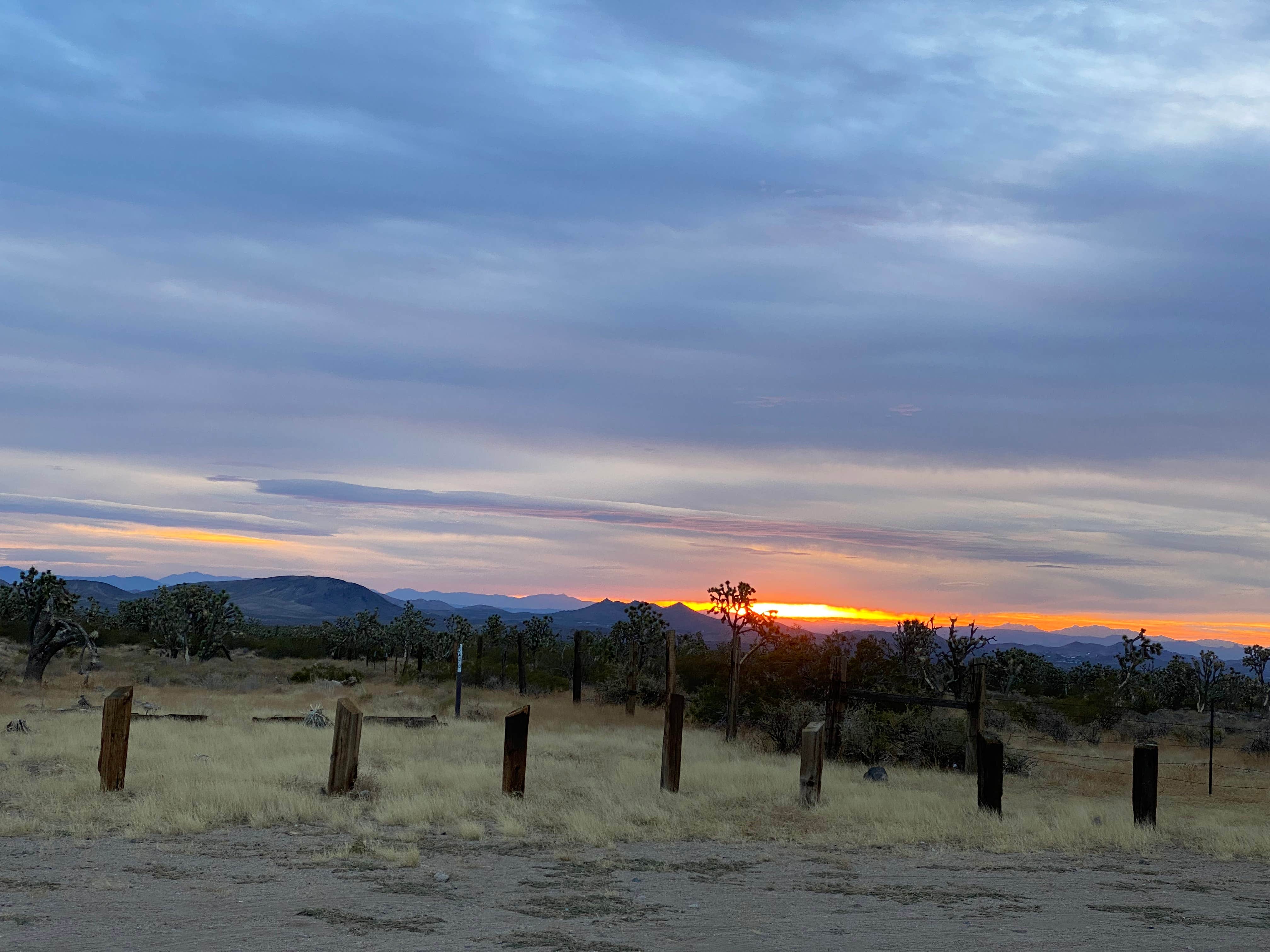 Jonas's photo of a dispersed camping area at BLM Knob Hill Primitive Camping near Jean, NV