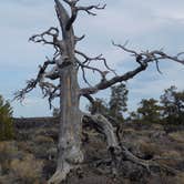 Review photo of Lava Flow - Craters of the Moon National Monument by Debra M., October 23, 2021