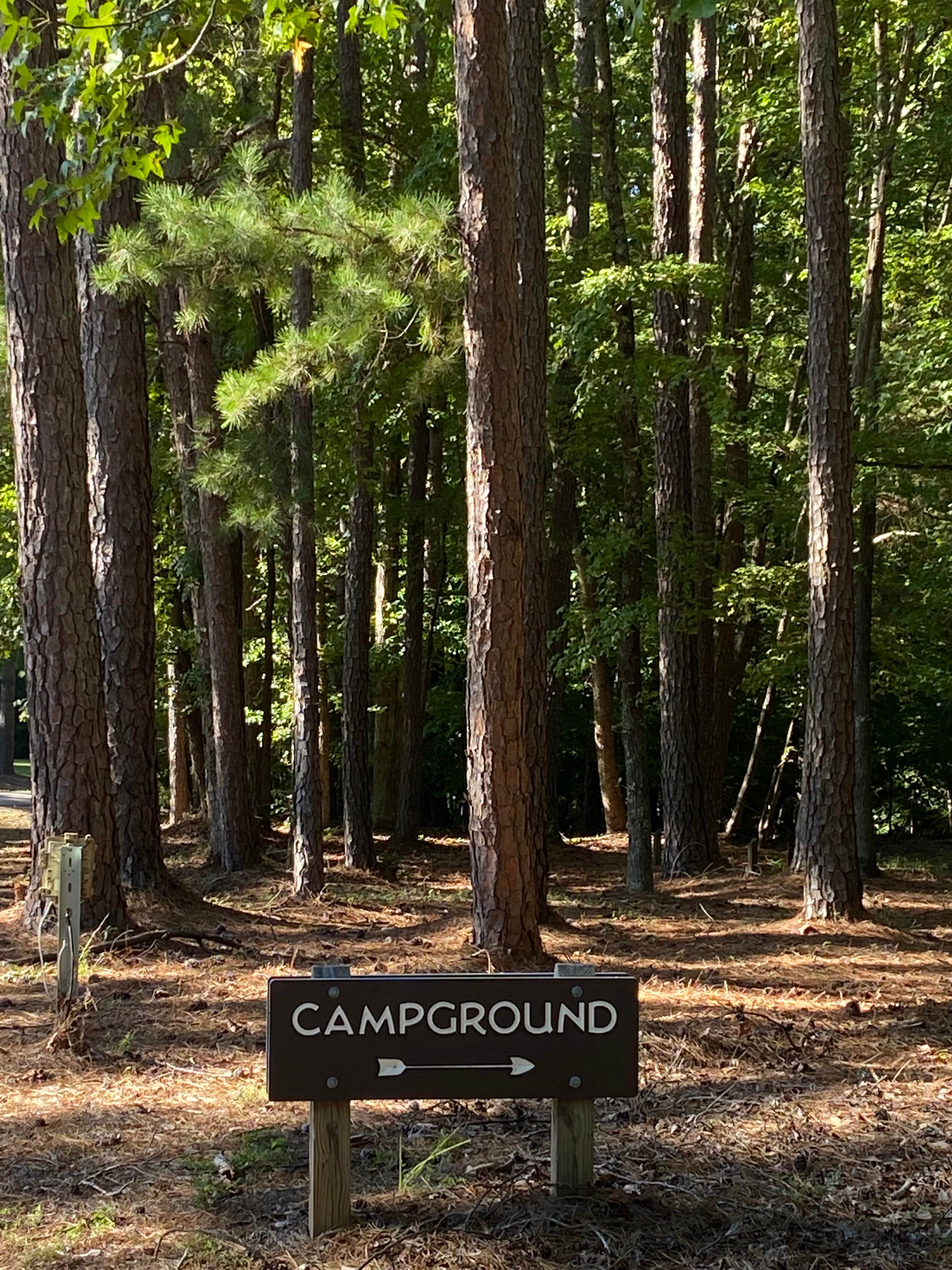 Camper submitted image from Bullocksville — Kerr Lake State Recreation Area - 4