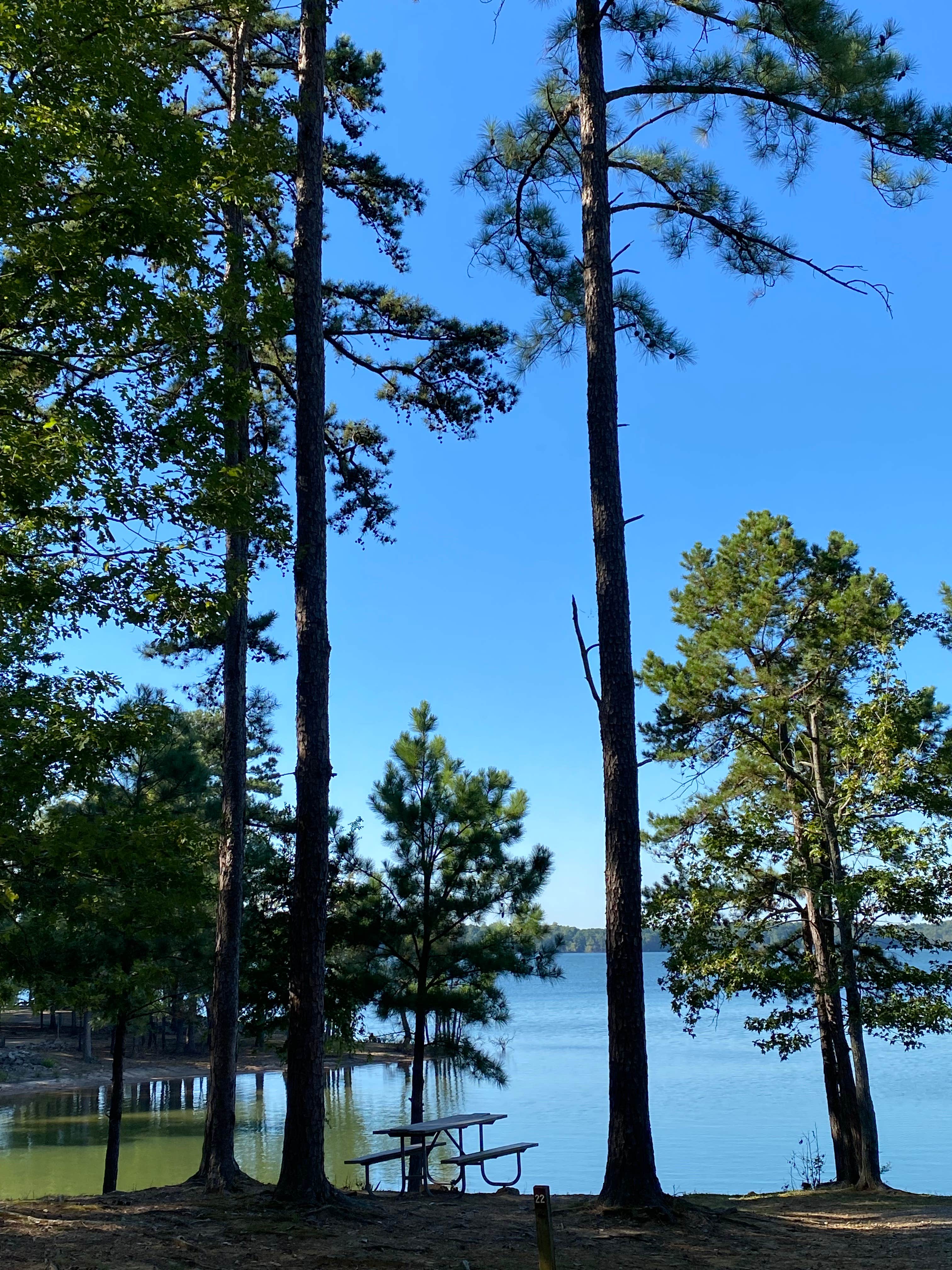 Camper submitted image from Bullocksville — Kerr Lake State Recreation Area - 3