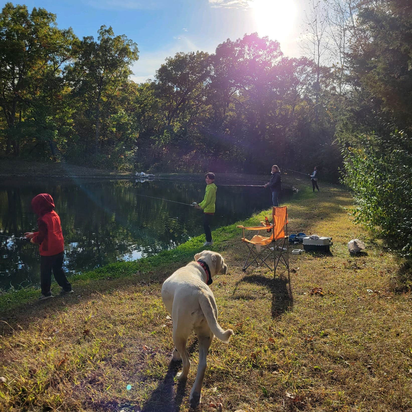 Camper submitted image from Hickory Haven Campground - 3