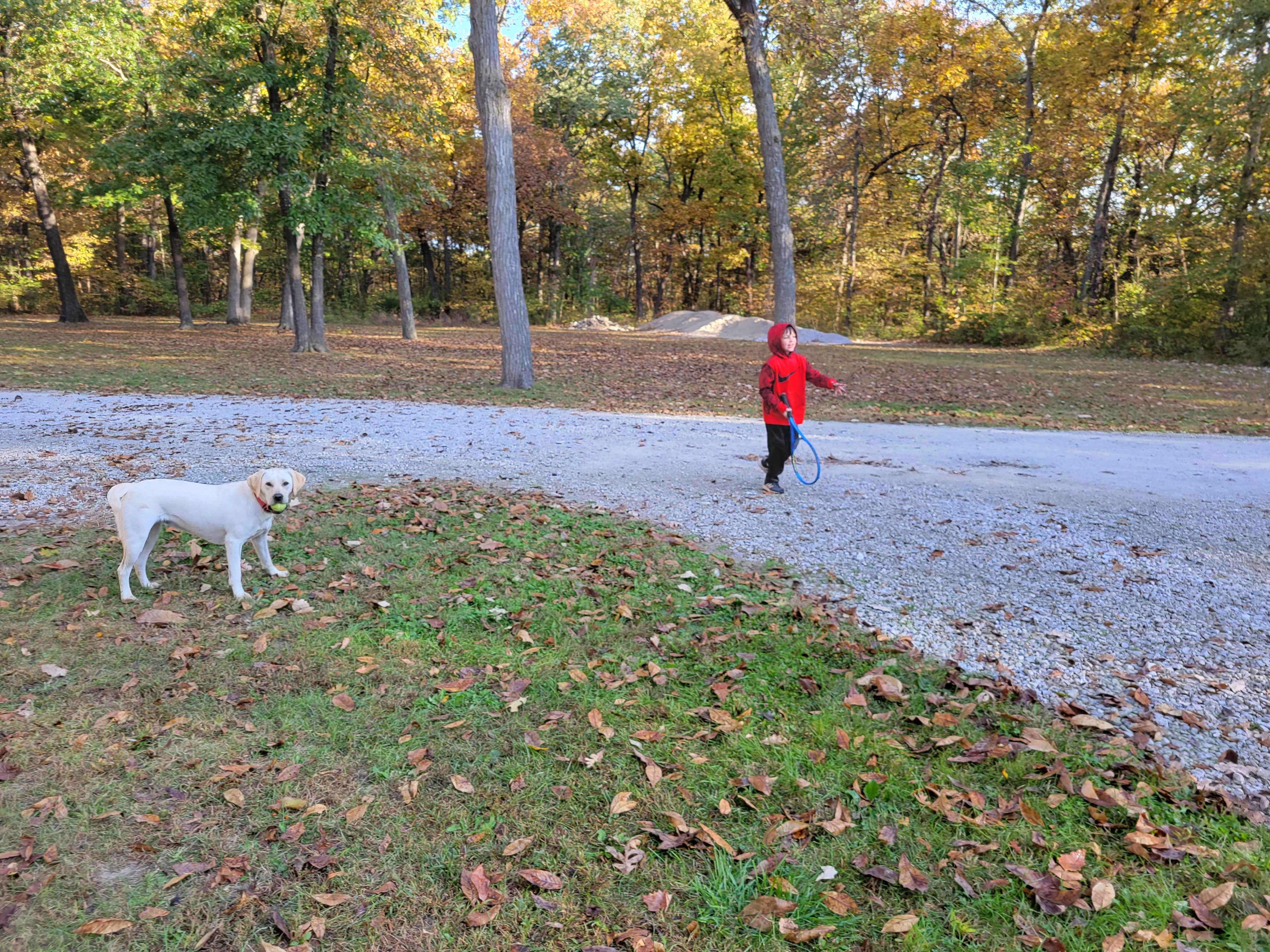 Debbie C.'s photo of camping with pets at Hickory Haven Campground in Iowa