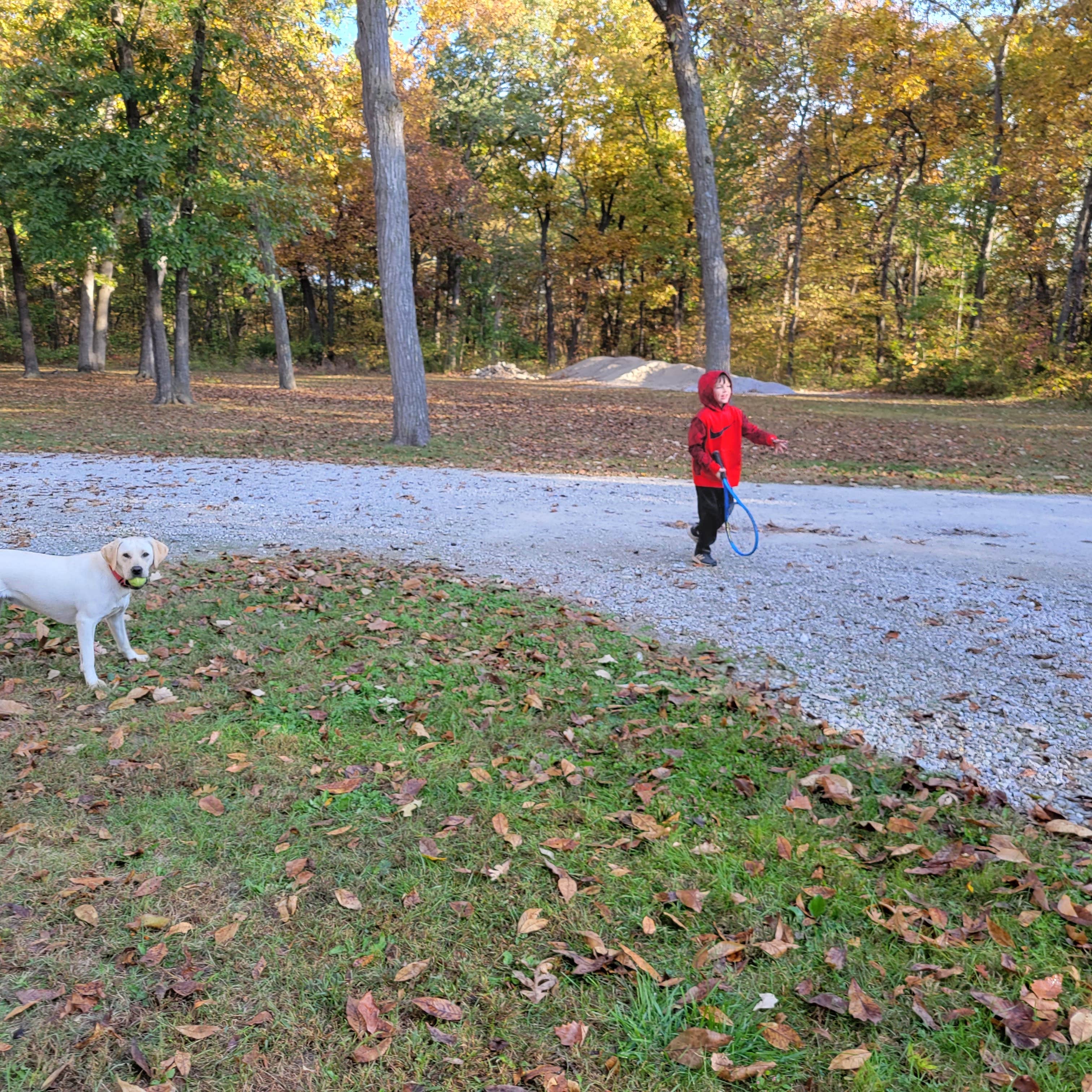 Hickory Haven: Iowa's Hidden Gem for Camping Adventures