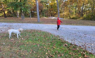 Debbie C.'s photo of camping with pets at Hickory Haven Campground near Augusta, IL