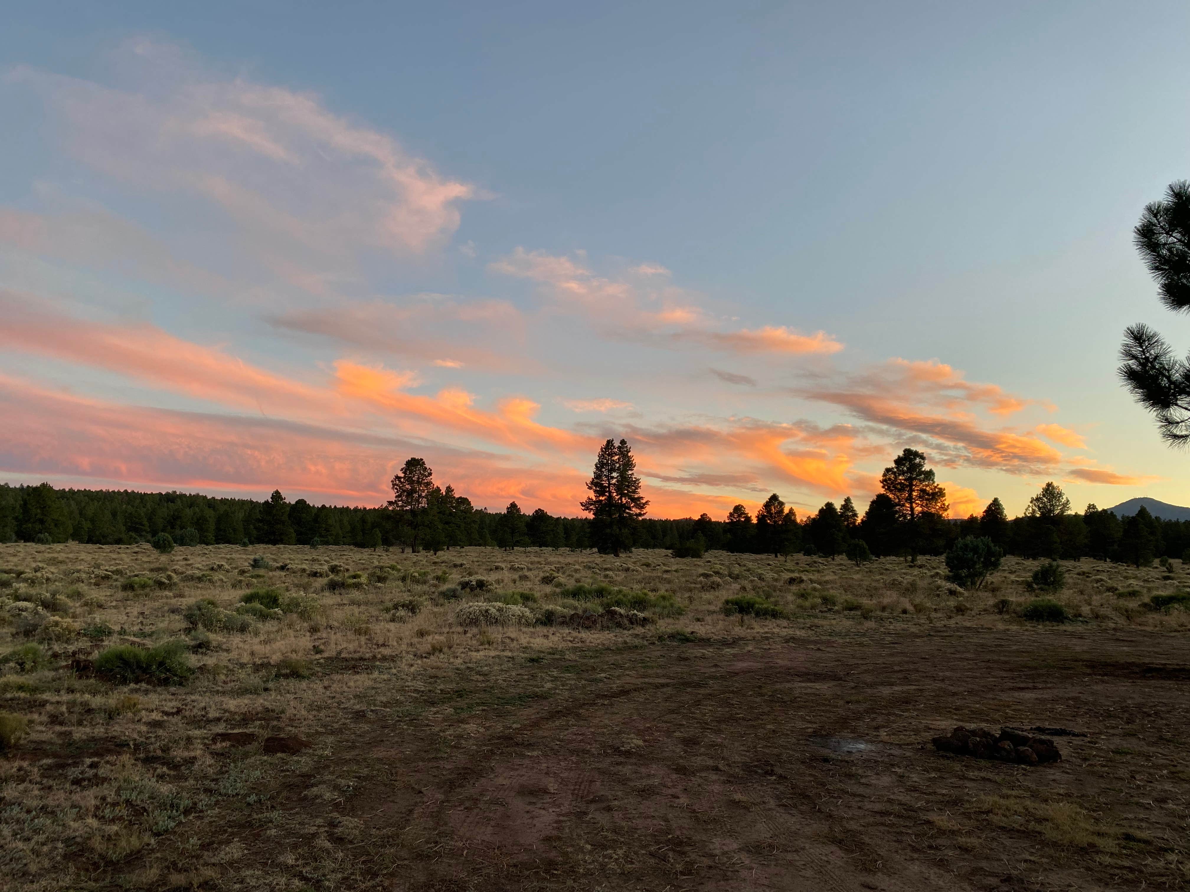 Keith's photo of a dispersed camping area at Garland Prairie Rd Dispersed Camping near Williams, AZ