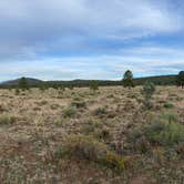 Review photo of Garland Prairie Rd Dispersed Camping by Keith , October 24, 2021