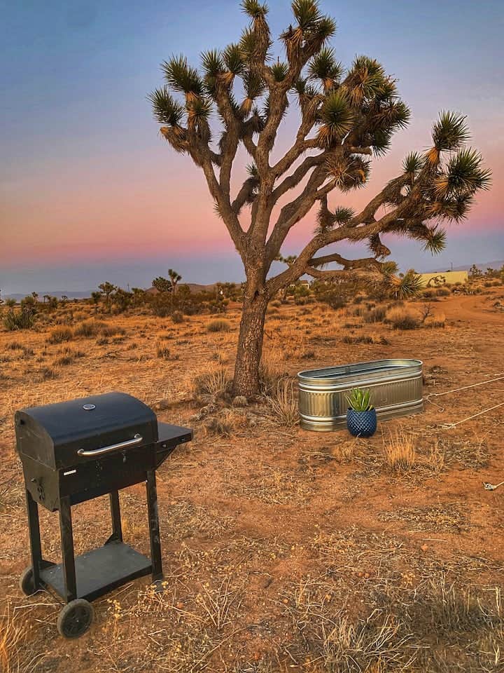 Camping near The Desert Dome: Luna Glamp Site, Landers, California