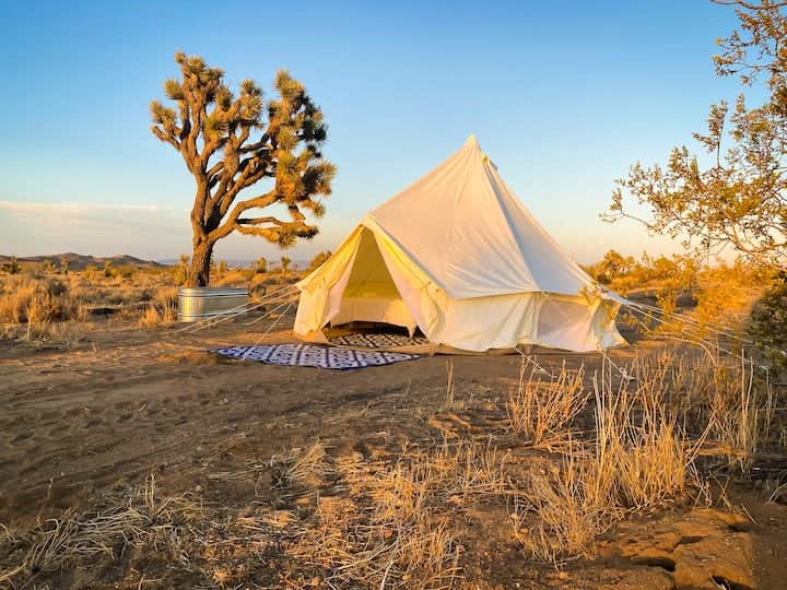 Camper submitted image from Luna Glamp Site - 2