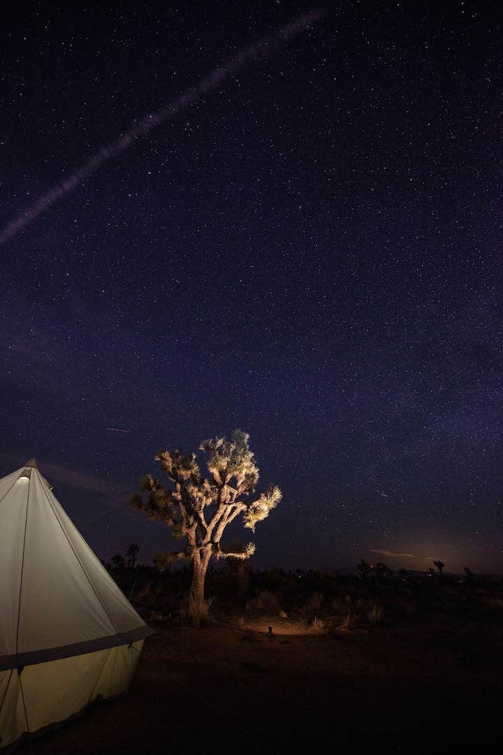 Camper submitted image from Luna Glamp Site - 5