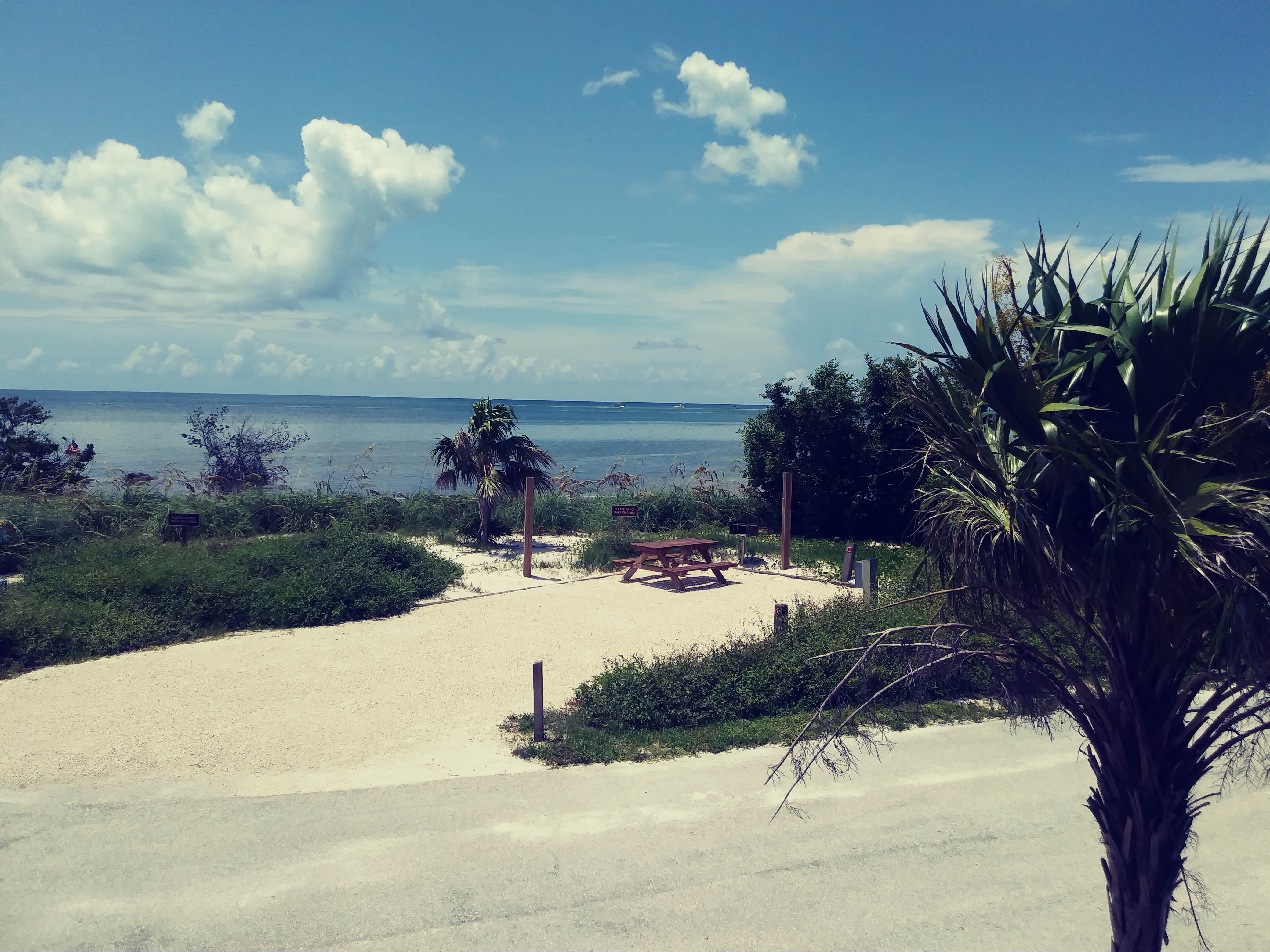 Camper-submitted photo at Curry Hammock State Park Campground near Islamorada, Village of Islands, FL