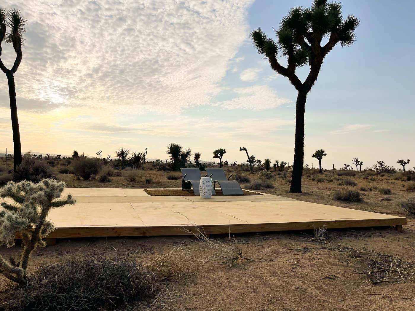 Camper-submitted photo at Desert Rose near Twentynine Palms, CA