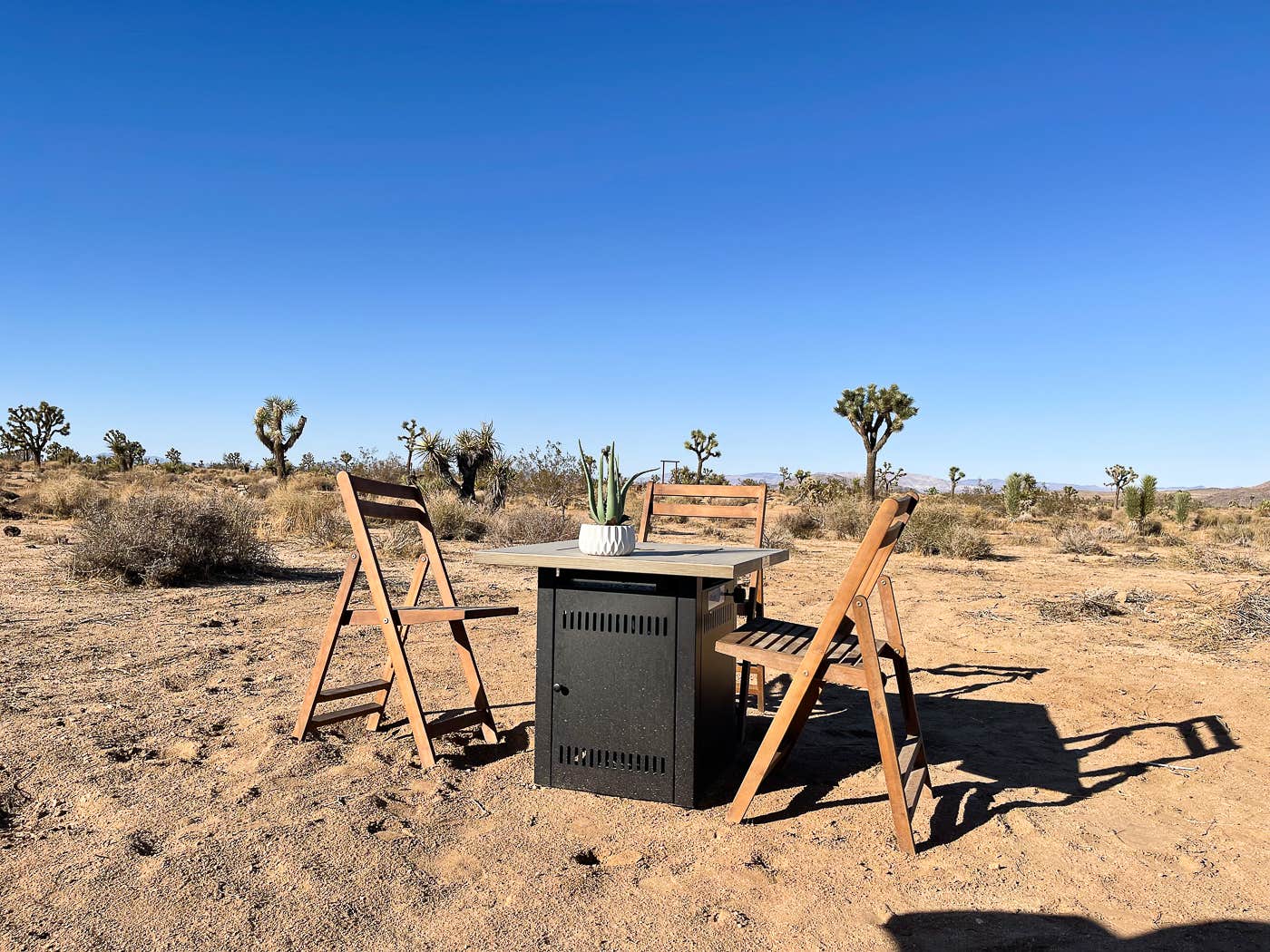 Camper-submitted photo at Desert Rose near Twentynine Palms, CA
