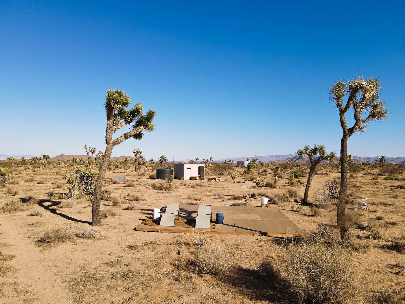 Camper-submitted photo at Desert Rose near Twentynine Palms, CA