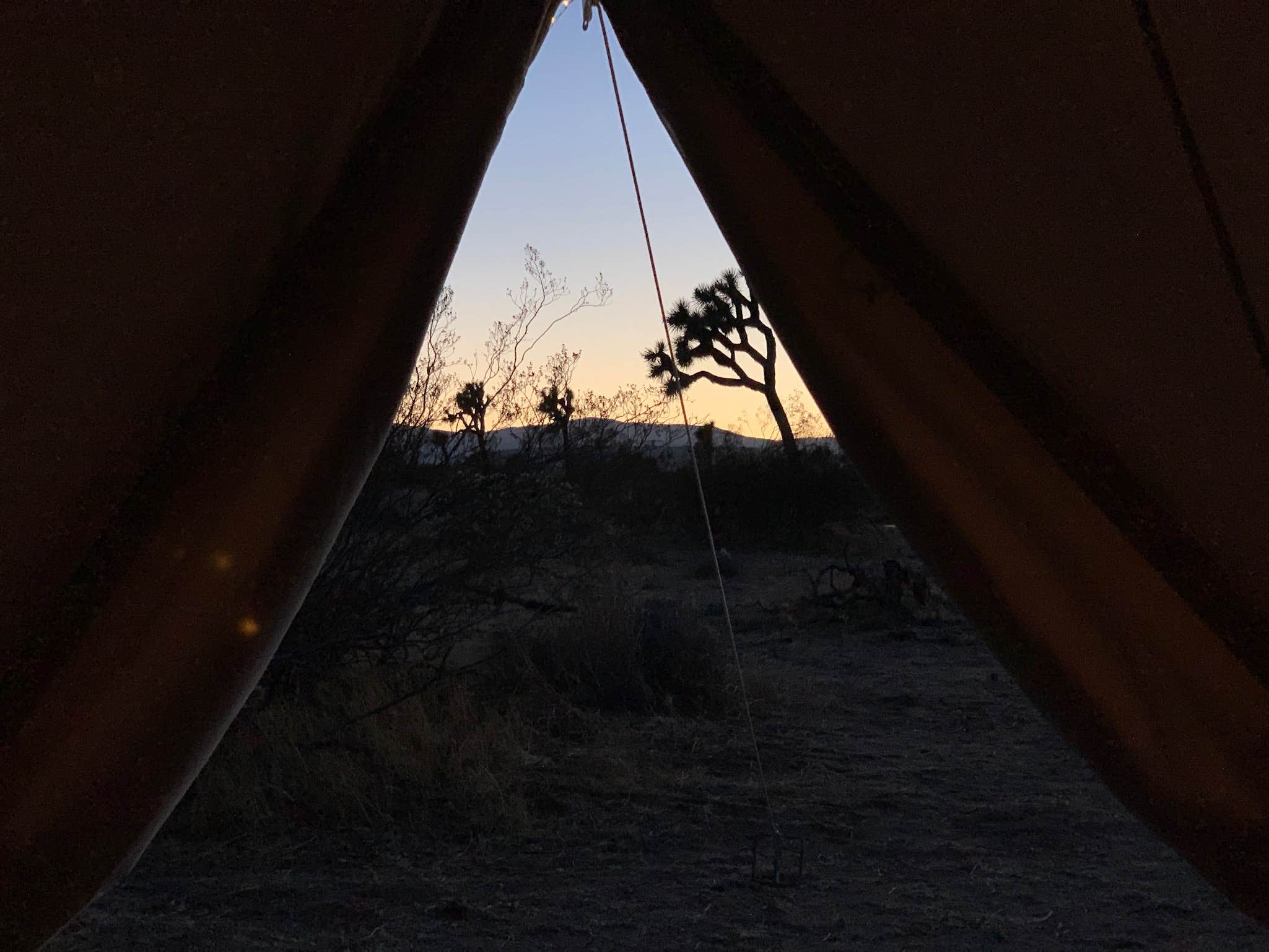 Paul F.'s photo of tent camping at Desert Rose near Bermuda Dunes, CA