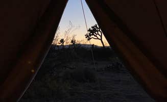 Paul F.'s photo of tent camping at Desert Rose near Indio, CA
