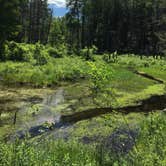 Review photo of Lower Lake Campground Northwoods Area — Promised Land State Park by Robyn B., July 5, 2018