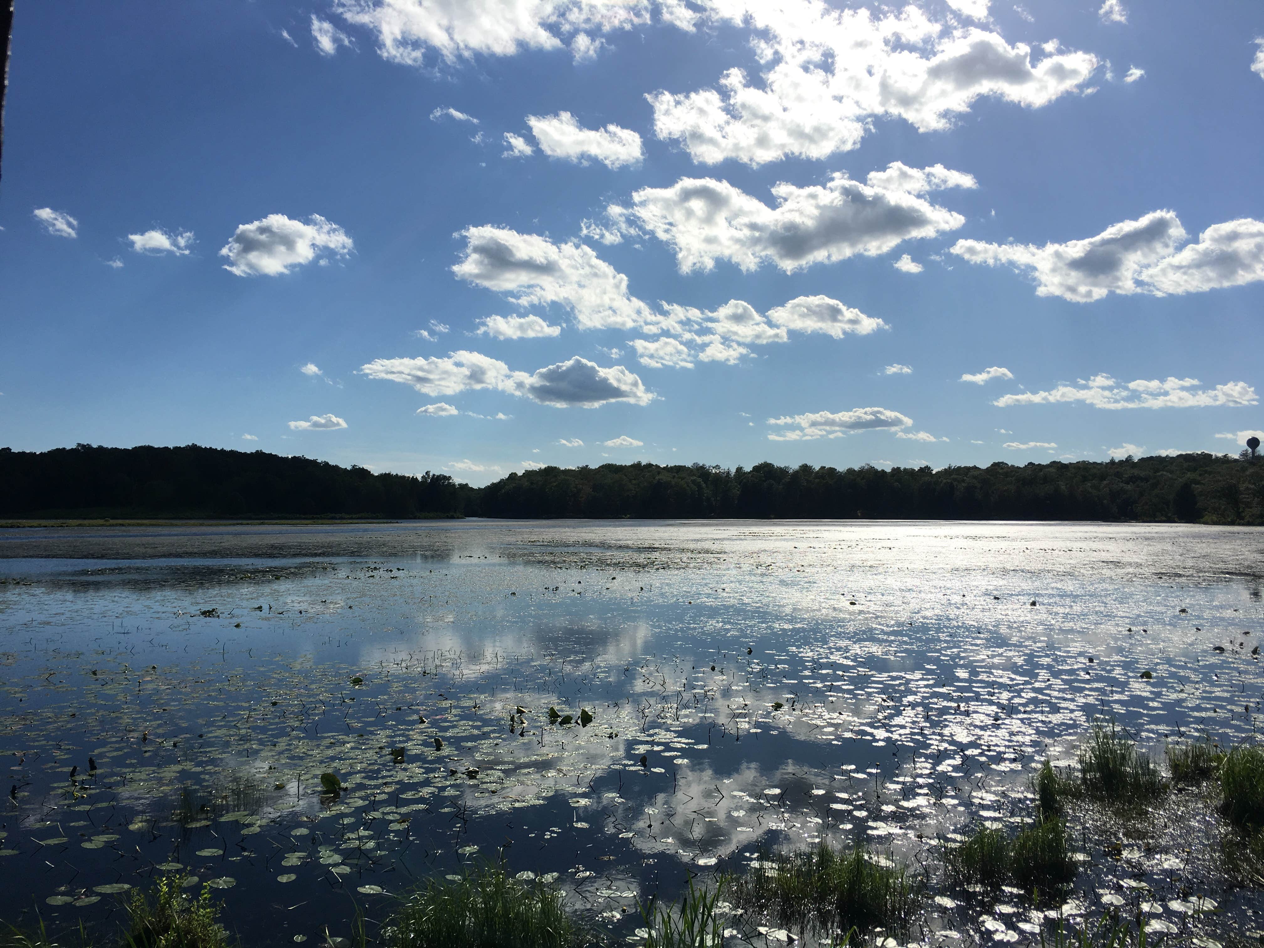 Camper-submitted photo at Lower Lake Campground Northwoods Area — Promised Land State Park near Hawley, PA