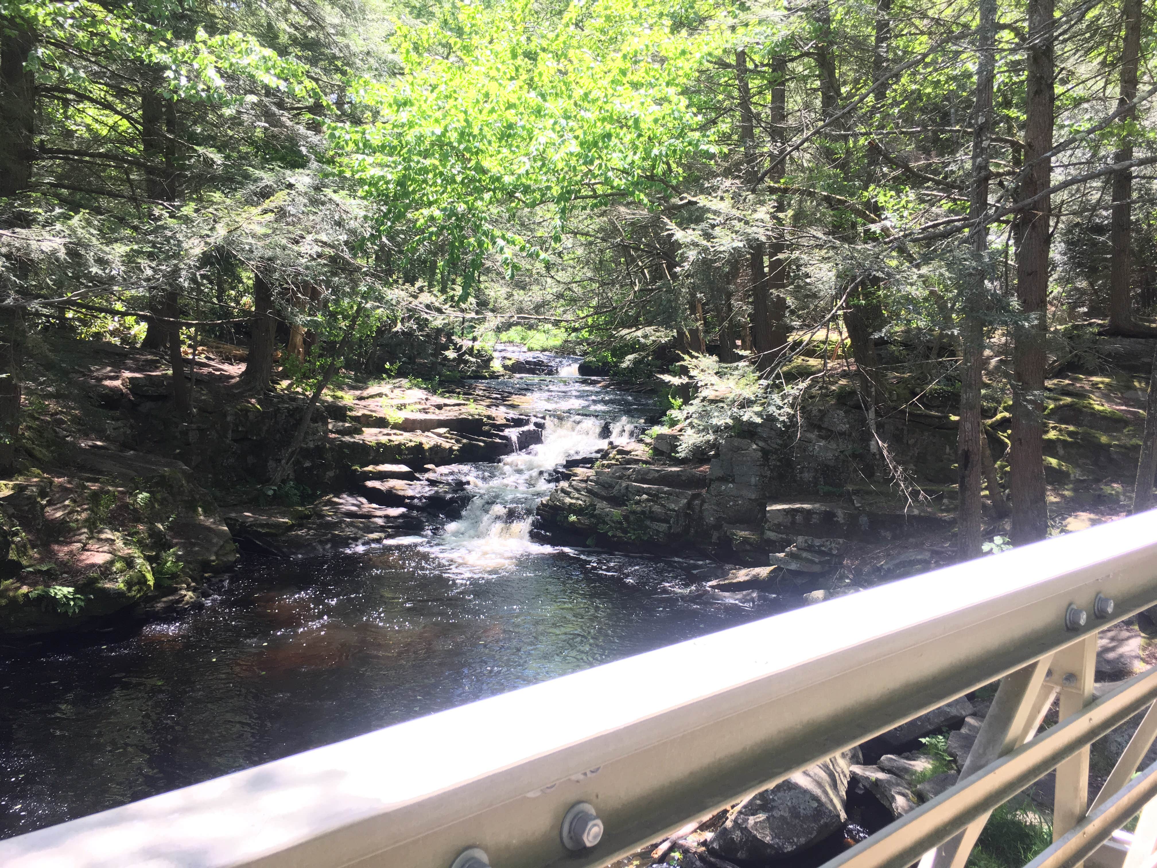 Camper-submitted photo at Lower Lake Campground Northwoods Area — Promised Land State Park near Hawley, PA
